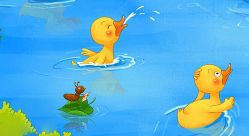 【睡前童话】小小鸭子学游泳