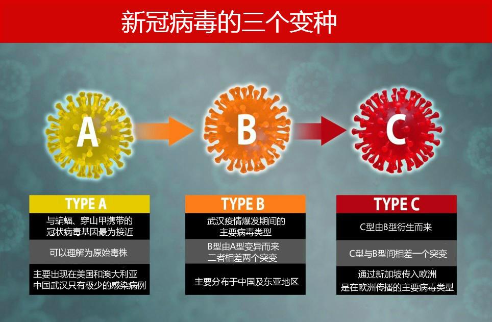 蝙蝠体内又现多种新的冠状病毒是谁打翻了潘多拉的魔盒