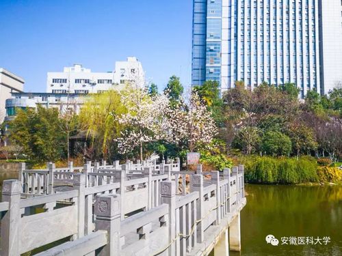 安徽医科大学