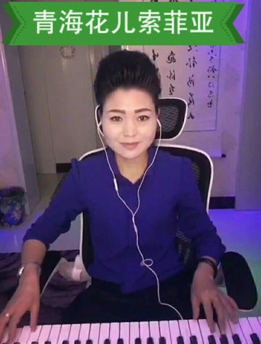 青海花儿索菲亚