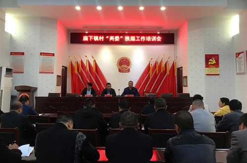 汝州市庙下镇召开村"两委"换届工作部署暨培训会