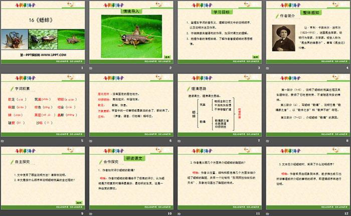 蟋蟀ppt课件