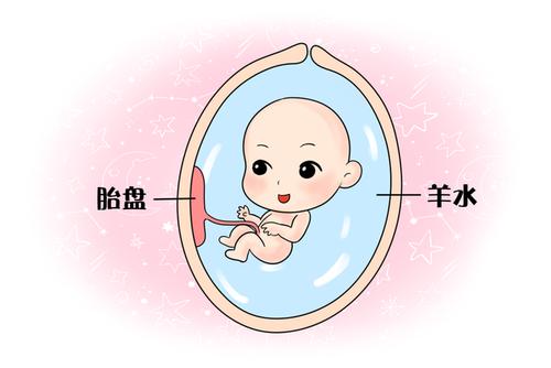 武汉仁爱医院羊水为啥叫羊水而不是神仙水呢