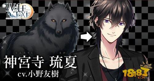 养个狼系男友另类养成wolftoxic当心狼男3月上线