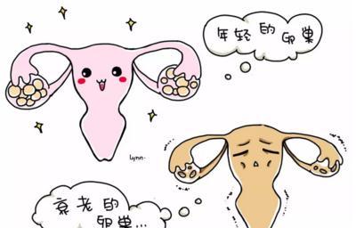 月经量少会不会影响怀孕-月经量少卵巢早衰怎么调理