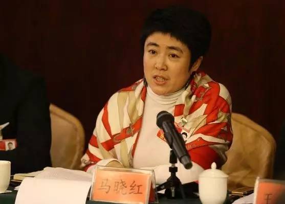 旅行社有限公司,丹东鸿祥边境贸易信息咨询服务有限公司的相关信息