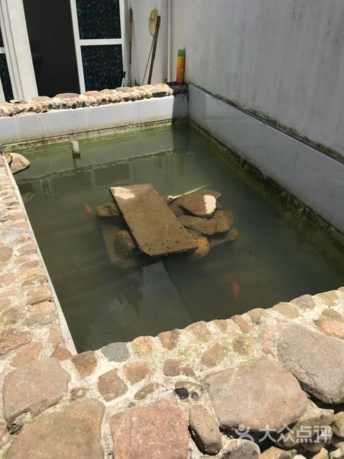 老板家的养鱼池