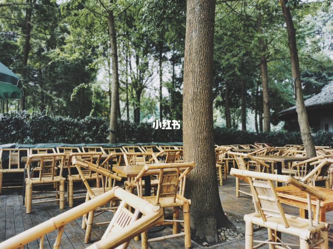 在公园里的喝茶发呆慢时光_茶馆_风景_杜甫草堂_浣花溪公园_周末_旅游