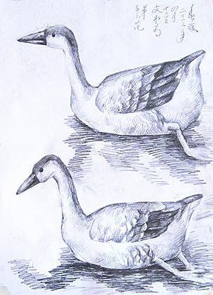 双雁戏水图(素描)54cmx39cm