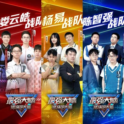 《最强大脑》娄云皓意外成断层第一,王宇轩遇对手失误