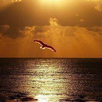 超好看的唯美意境风景qq头像图片