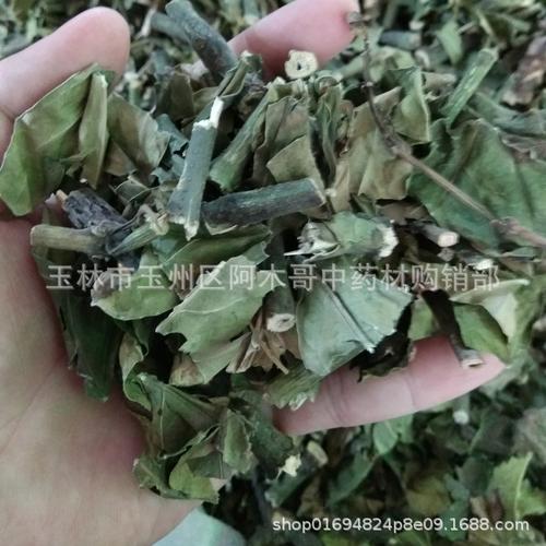 大驳骨 大骨风 龙头草 大驳骨丹 接骨木 大还魂野生干