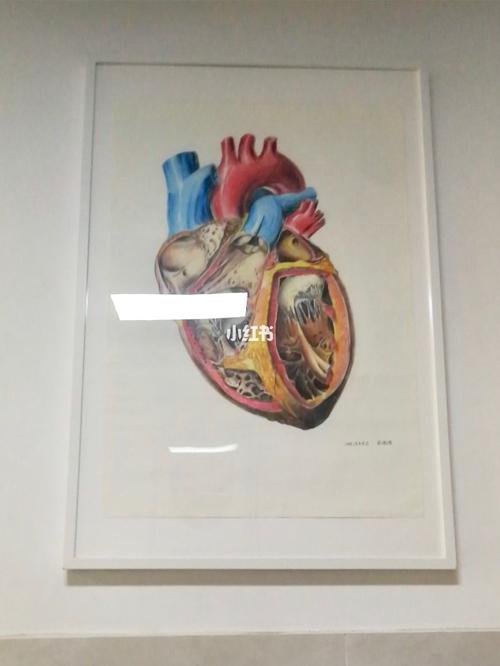 用彩笔画个心脏_彩笔_医学生_人文_绘画