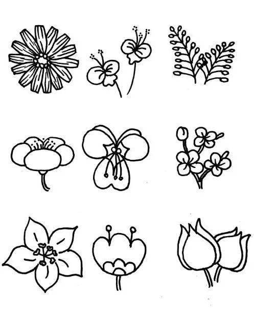 简笔画 | 一组花朵简笔画,造型百样.花朵手帐,简单易学!