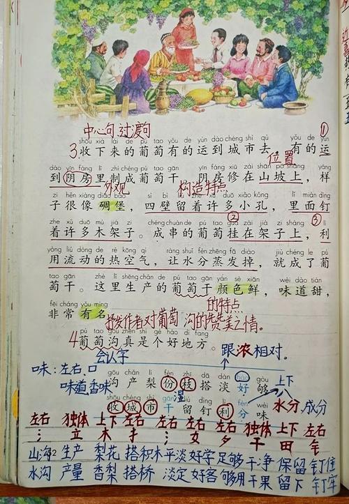 二年级语文上册十一课葡萄沟课文笔记家长辅导孩子的好帮手