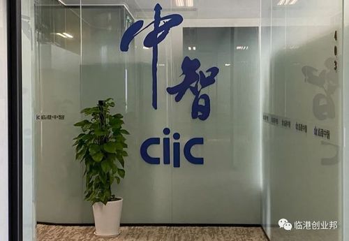 临港招聘:上海临港中智人才服务有限公司