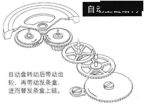 一,自动机械表结构