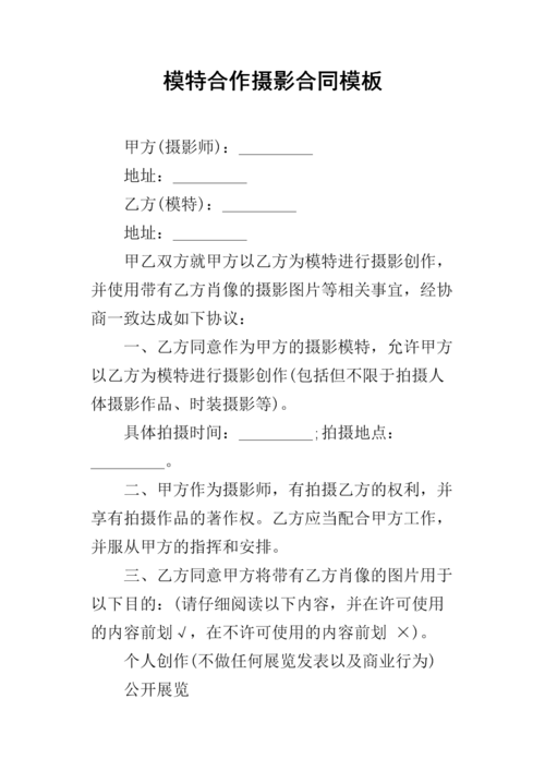 模特合作摄影合同模板.docx