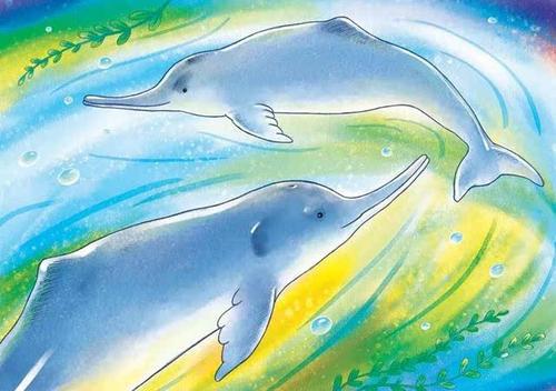 关于白鳍豚的手抄报手抄报版面设计图