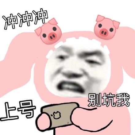 冲冲冲上号别坑我 - 今日沙雕熊猫头表情包_斗图表情