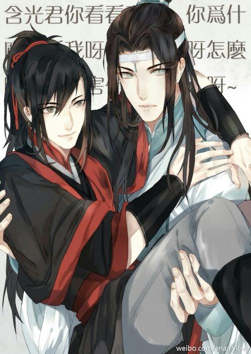 魏无羡蓝忘机