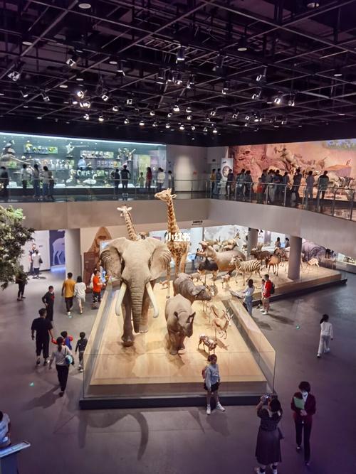 浙江自然博物馆(安吉馆)_浙江省自然博物馆(安吉分馆)