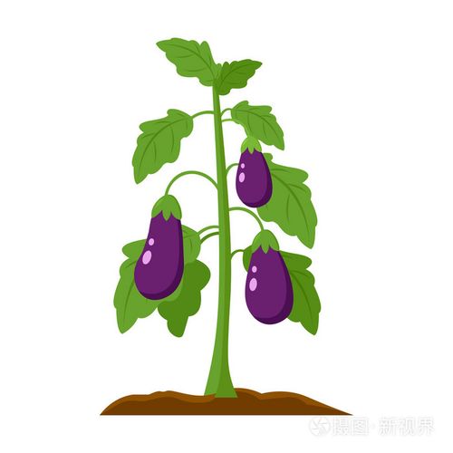 茄子图标卡通. 大农场花园的单株图标
