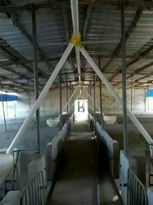 安徽【养猪自动上料机】厂家直销价格