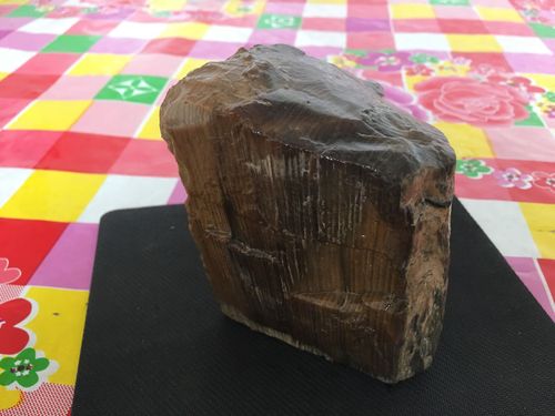 帮我看看这块木化石有什么价值,帮我估个价值钱吗!