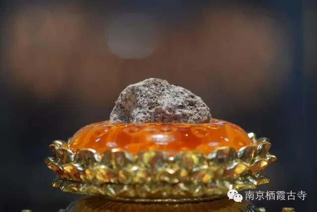 释迦牟尼佛涅盘后留下哪些舍利见者获福