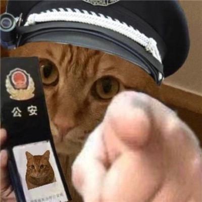 小猫咪警察搞笑表情包大全
