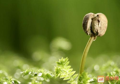 简单好看的信念的图片