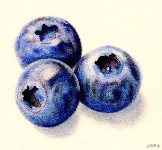 彩铅教程彩铅蓝莓步骤图