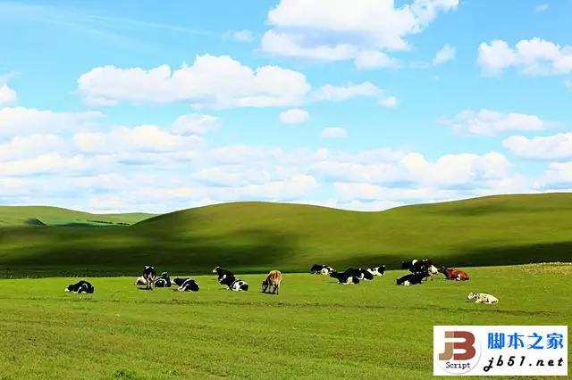 河流在草原上流蜿蜒飘逸还有那芬芳的野花肆意地不计算成本地绽放着