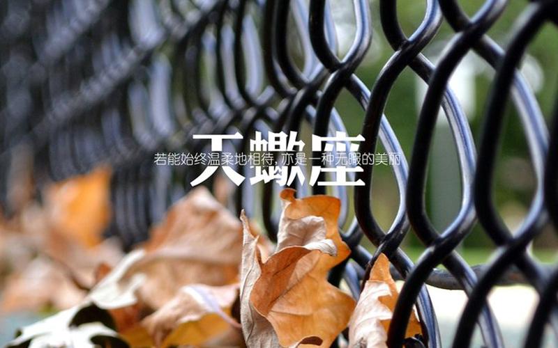 电脑壁纸 动漫卡通 生肖星座 属于天蝎座的一句话