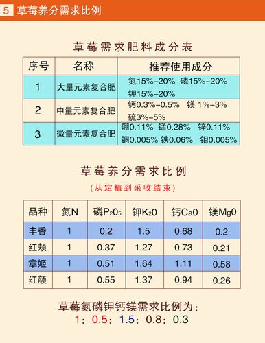 草莓专用水溶肥 叶面肥 不同生长期专门配方 全营养 全水溶