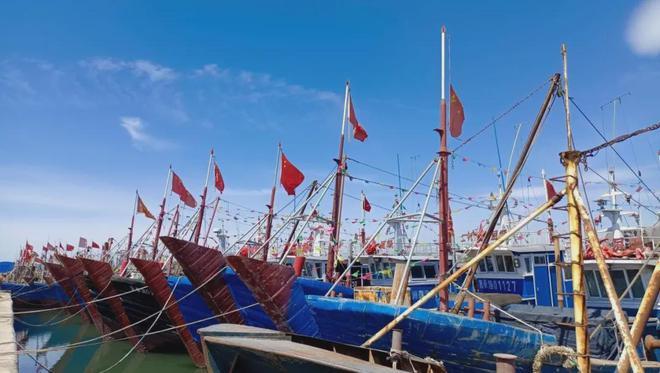 5月9日,山海关沟渠寨渔港,海港区卸粮口渔港码头,所有渔船都有序地