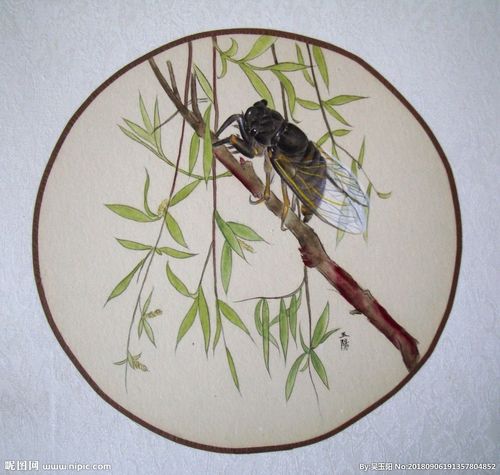 吴玉阳工笔画重彩蝉垂柳图片