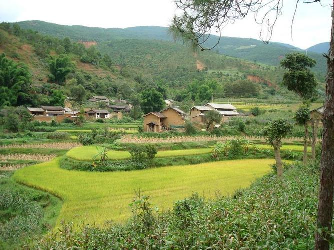 基本概况 化窑自然村隶属于云南省永平县杉阳镇杉阳村委会,属于半山区