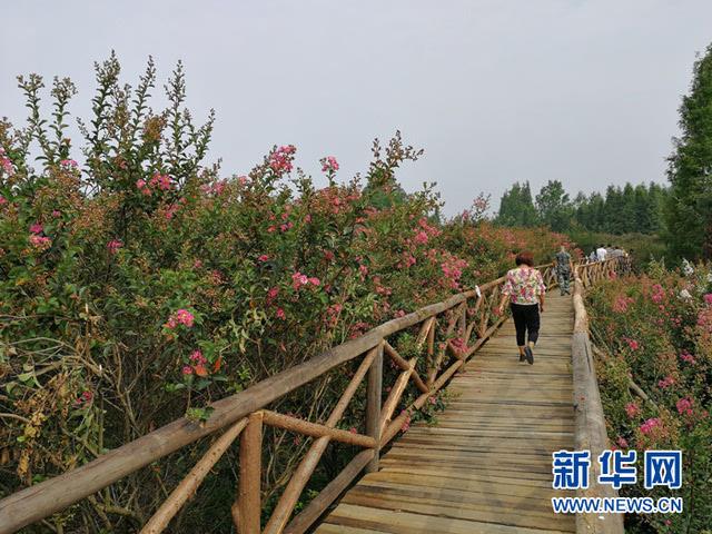 崇州廖家紫薇文化嘉年华开幕全域旅游推动绿色发展