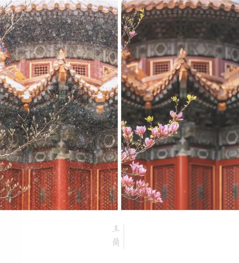 那些刷屏的故宫照片原来是她拍的太美了