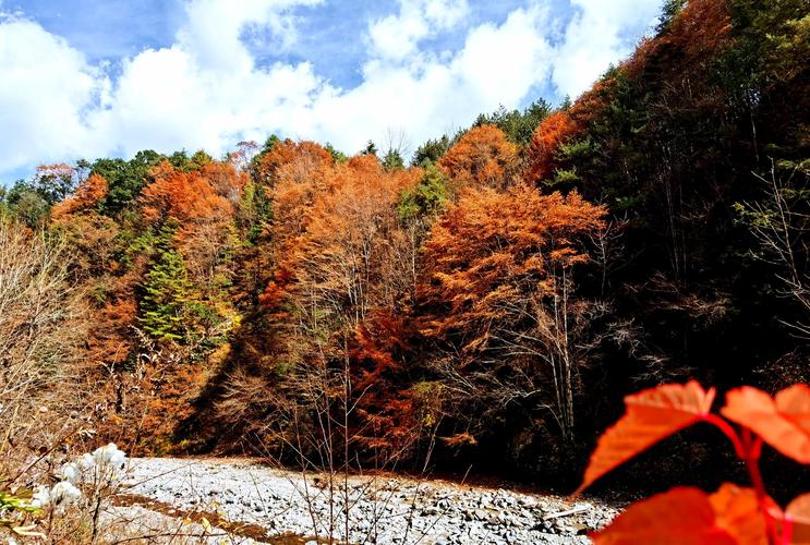 动态 陕西 宝鸡 黄柏塬原生态风景区 秦岭赏秋必去景点--黄柏塬_黄柏