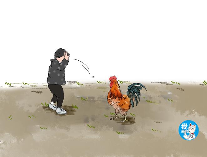 儿子挑衅公鸡被啄,向老爸进行告状,隔天去看不由有些惭愧