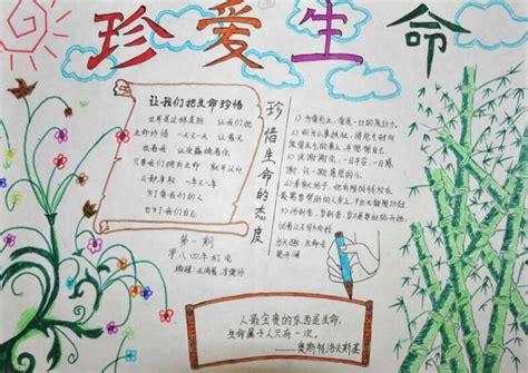 中央12守护明天手抄报 12.9手抄报
