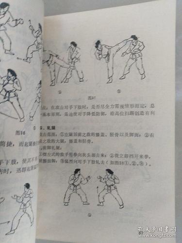 图解截拳道技击全书