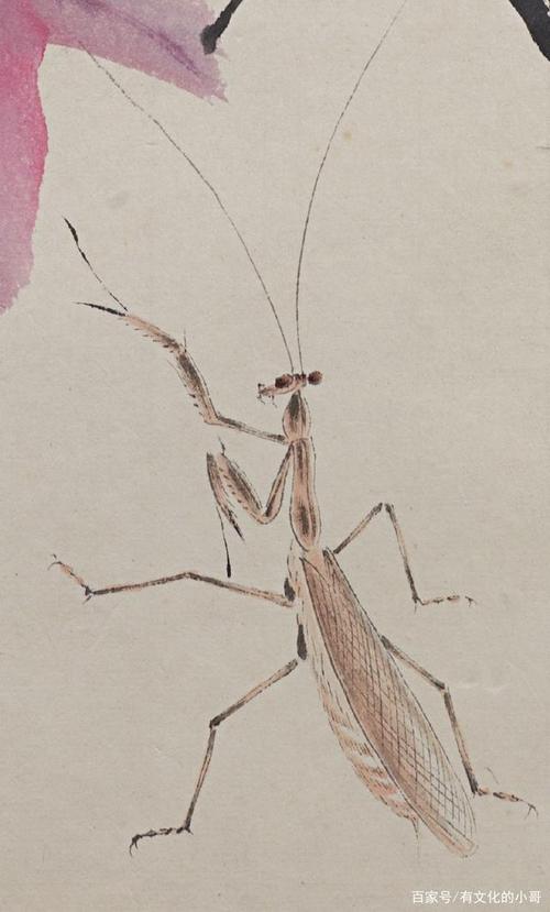 齐白石把草虫画成了照片,把画面放大20倍,看螳螂的这个小动作!