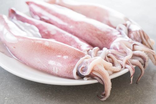 章鱼,鱿鱼,墨鱼如何区分?老渔民:看清外形特征,以后别买错了