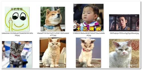 王之蔑视表情包 绿色版