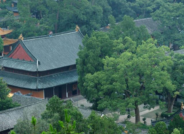 浙江深山里的老寺庙至今已有1400多年一直坚持门票免费