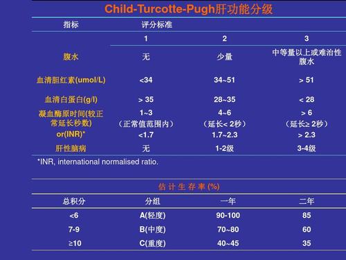 肝病的肝功能评估
